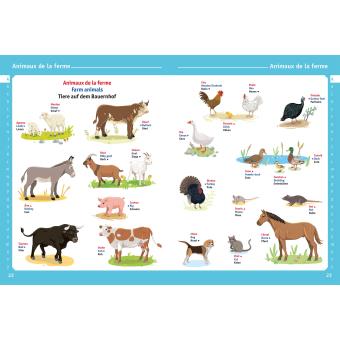 Mon premier imagier français anglais allemand