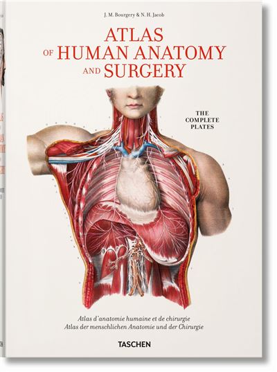 Bourgery Atlas of human anatomy and surgery