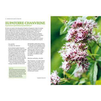 La force des plantes contre les virus - Prévenir et traiter les infections, renforcer les défenses