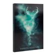 Cahier lenticulaire A5 Harry Potter