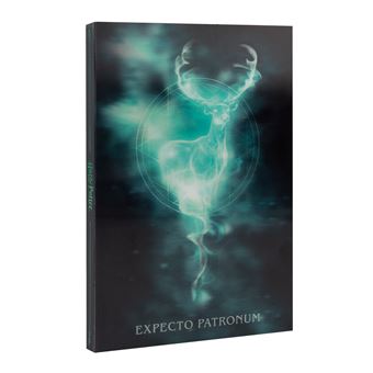 Cahier lenticulaire A5 Harry Potter