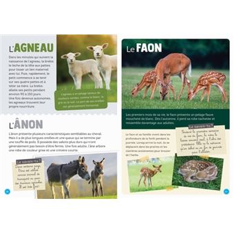 300 faits incroyables sur les animaux