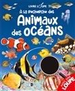 A la recherche des Animaux des Océans