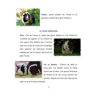 Au pays de Chonland, Un été de canicule