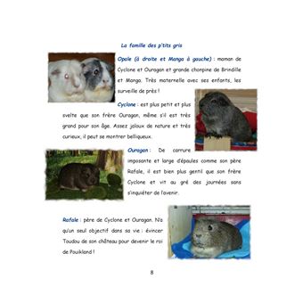 Au pays de Chonland, Un été de canicule