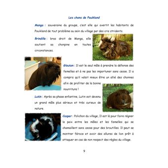 Au pays de Chonland, Un été de canicule