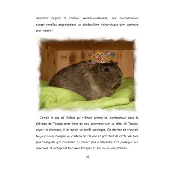 Au pays de Chonland, Un été de canicule