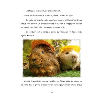 Au pays de Chonland, Un été de canicule