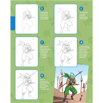 Samouraïs et Ninjas