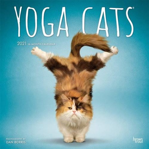 KALENDER 21 YOGA CATS BTUK