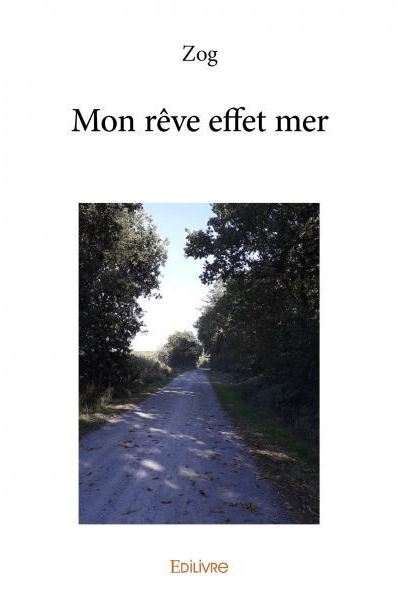 Mon rêve effet mer