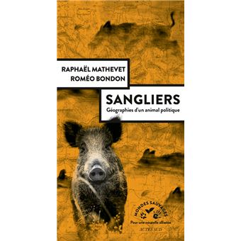 Sangliers, géographies d'un animal politique