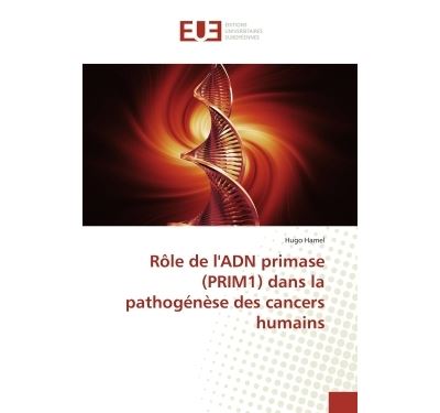 Rôle de l''adn primase (prim1) dans la pathogénèse des cancers humains