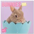 Calendrier 2021 30x30 Studio Pets Bunny