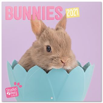 Calendrier 2021 30x30 Studio Pets Bunny