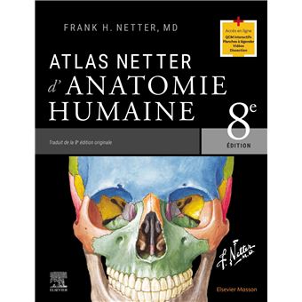 Cahier D’exercices Anatomie Humaine – 265x175 Mm, étiquettes à Compléter, Couleur, Pour étudiants Médecine
