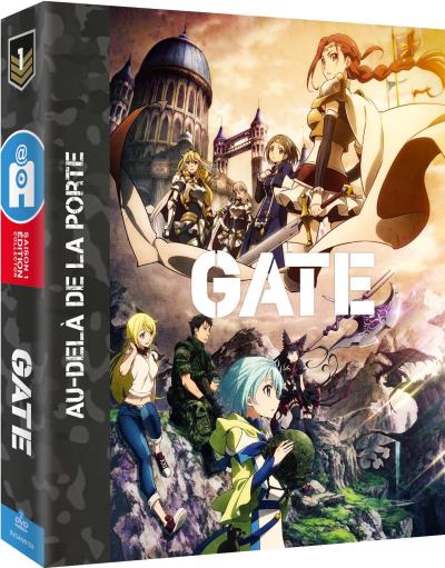GATE S1-COLLECTOR-FR