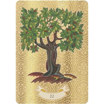 Coffret L'Oracle doré de Nostradamus