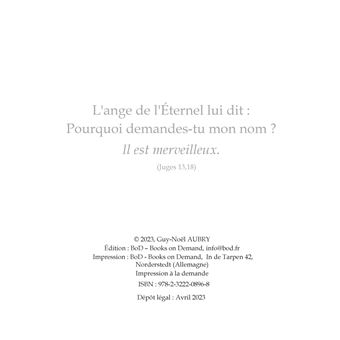 Gabriel L'Ange Merveilleux