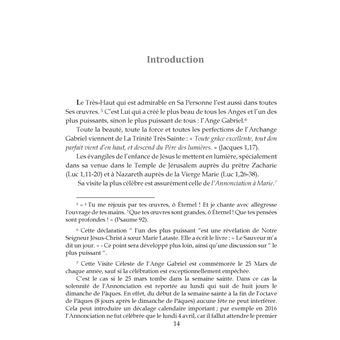 Gabriel L'Ange Merveilleux