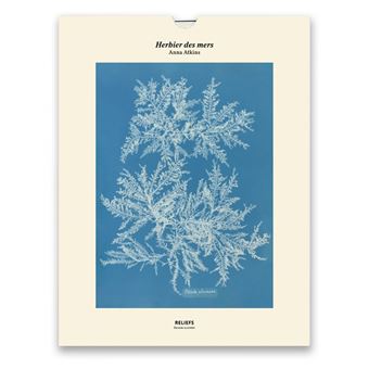 Tirage - Herbier des mers - Édition illustrée