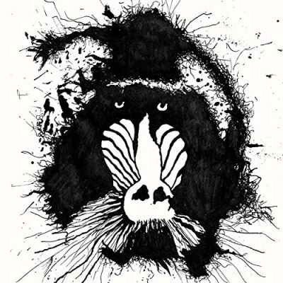 FERAL OHMS/LP