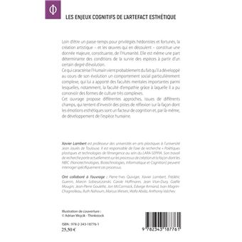 Les enjeux cognitifs de l'artefact esthétique