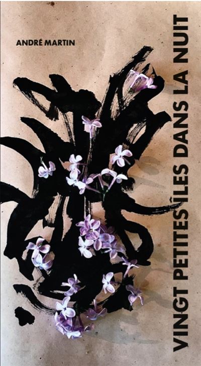 Vingt petites îles dans la nuit - André Martin - broché