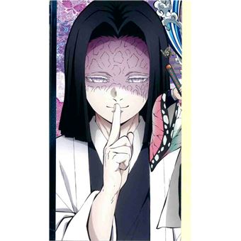 Demon Slayer : Le Guide officiel des personnages de l'anime