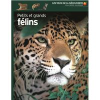 Petits et grands félins
