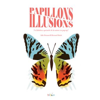 Papillons Illusions