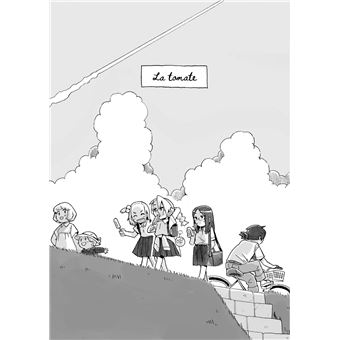 Pigeons, escargots et tortues