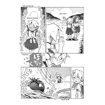 Pigeons, escargots et tortues