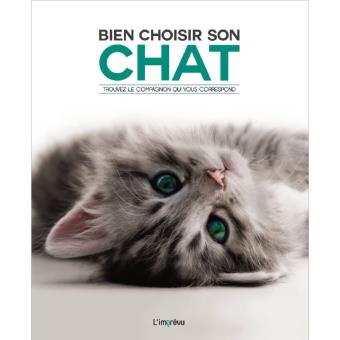 Bien choisir son chat - 1