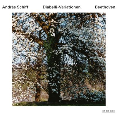 Diabelli - Variationen