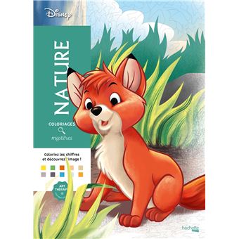 Disney - Coloriages mystères Disney - Nature - William Bal - broché - Achat  Livre