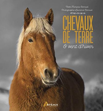 Chevaux de terre et vent d'hiver