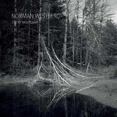 ALL MOST QUIET/LP