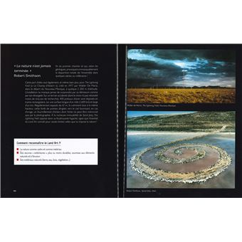 Panorama de l'art contemporain