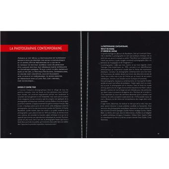 Panorama de l'art contemporain