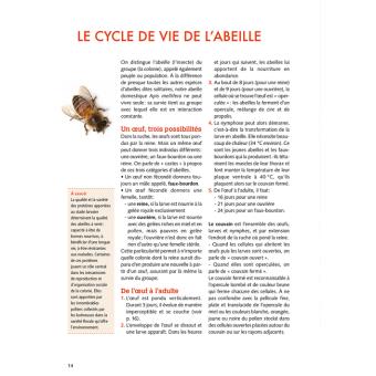 Installer un premier rucher - Guide pratique du débutant Guide pratique du  débutant - broché - Jean Riondet - Achat Livre