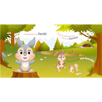 DISNEY BABY - Mes Petits Animaux - Je suis Panpan