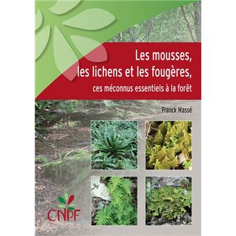 Les mousses, les lichens et les fougeres, ces meconnus essentiels a la foret