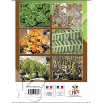 Les mousses, les lichens et les fougeres, ces meconnus essentiels a la foret