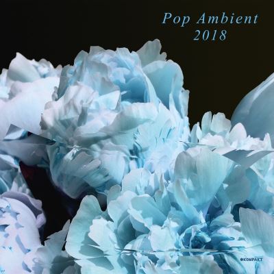 POP AMBIENT 2018/LP+DC