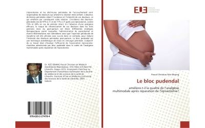 Le bloc pudendal