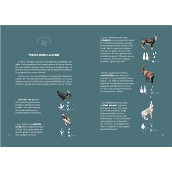 Ski de rando - Des premières traces à l'autonomie - Tome 1