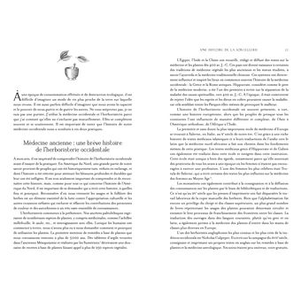 Jardin secret d'une sorcière