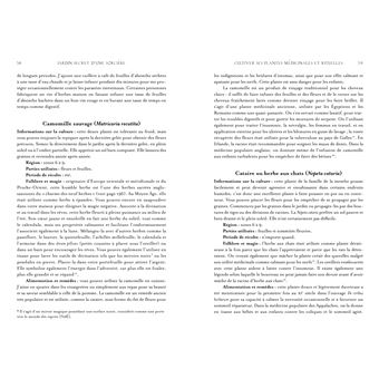 Jardin secret d'une sorcière