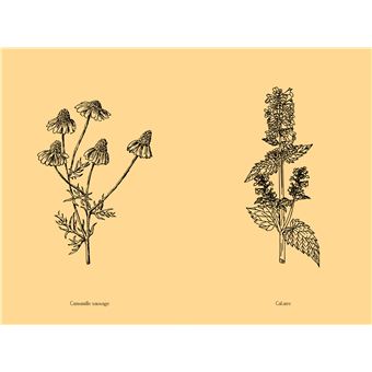 Jardin secret d'une sorcière